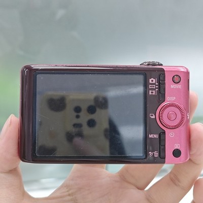 SONY Cyber-shot DSC-WX100 Compact Digital Camera 18.2 Megapixel