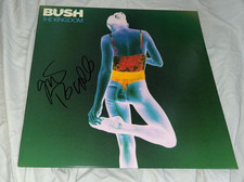 Gavin Rossdale signed album vinyl BUSH With Proof Gavin Rossdale signed album vinyl BUSH With Proof