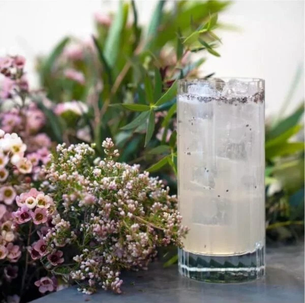 Juego de 4 vasos de highball Luigi Bormioli Bach Foto 4 de 4