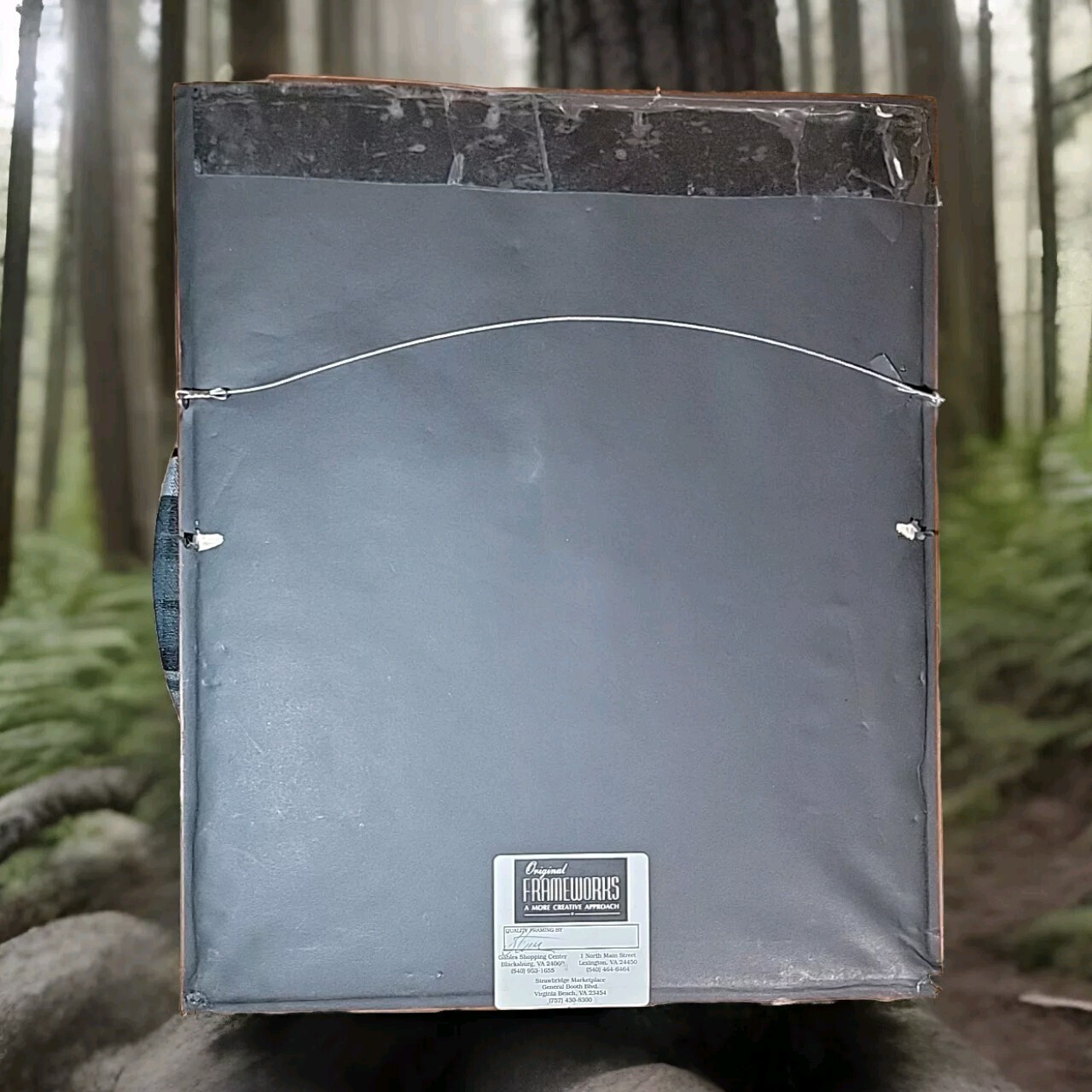 Picture 5 of 6