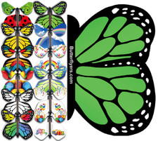 Green Monarch Butterfly Greeting Card With Wind Up Flying Butterfly