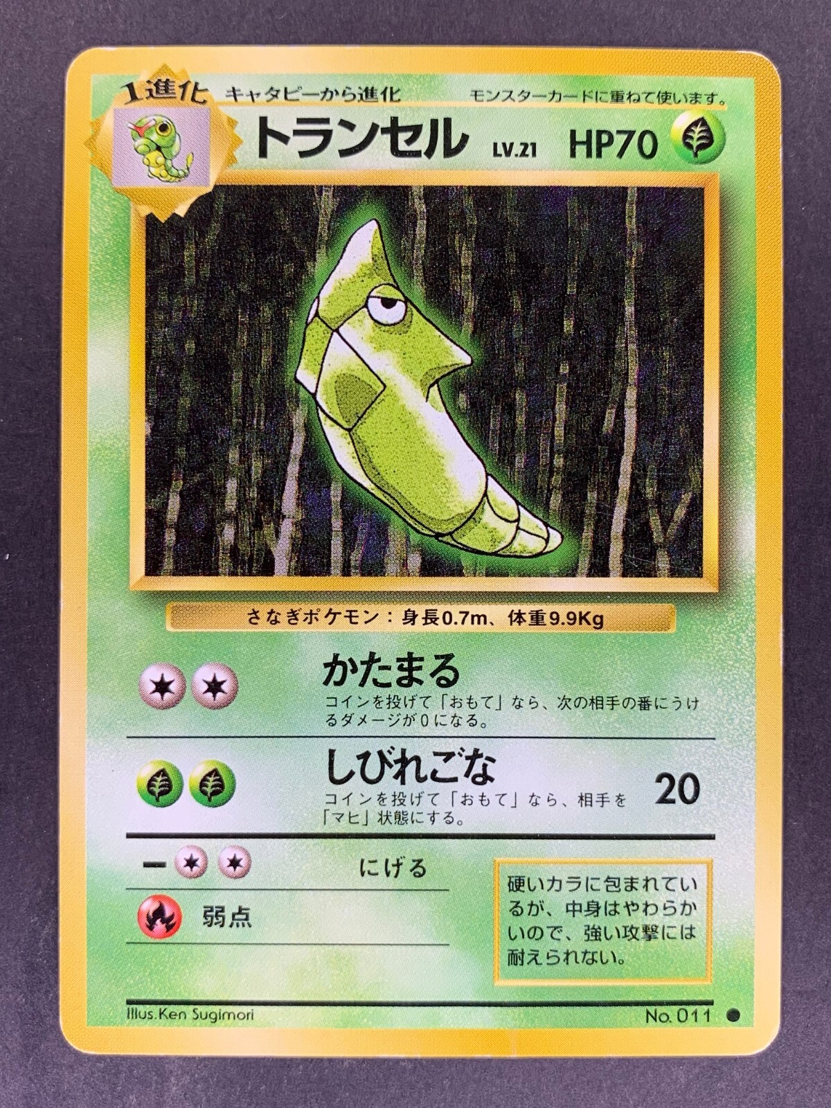 Metapod No.011 Base Set Expansion Pack Japanese Pokémon Card