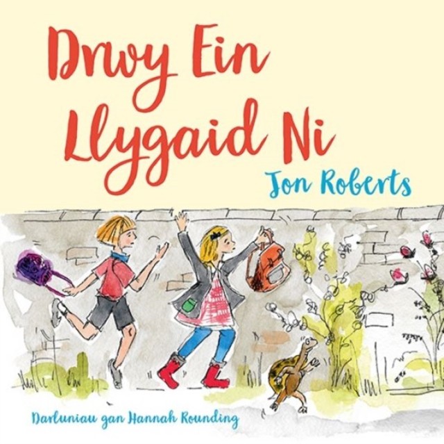 Drwy ein Llygaid Ni by Jon Roberts PAPERBACK (WELSH) 9781802580518