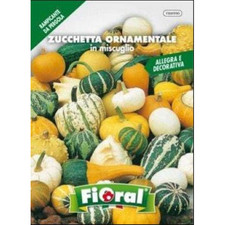 MIX DI ZUCCHETTE ORNAMENTALI IN SEMI - FIORAL