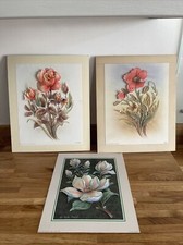 Rob Pohl Decoupage floral Designs Need Framed wall art 2 X 10x12in & 1 10x8 In