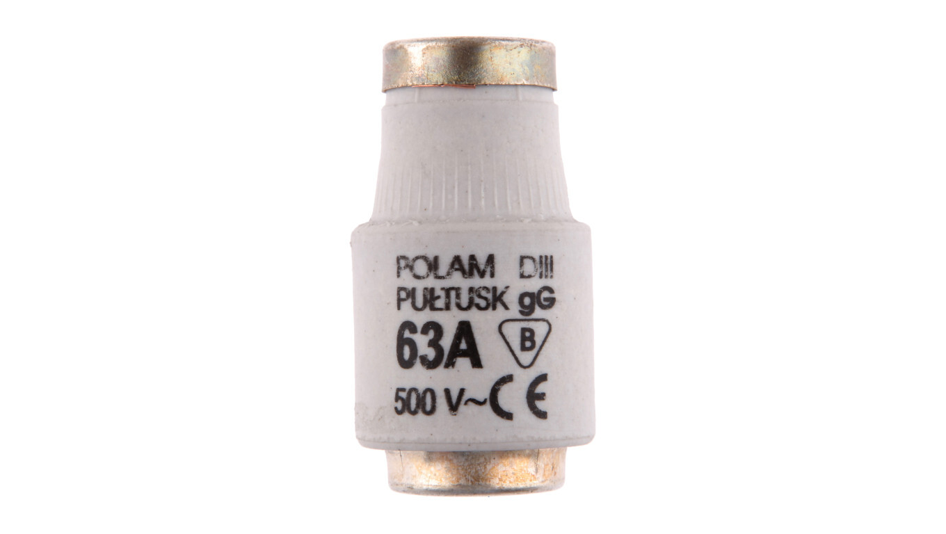 Fuse link 63A DIII gG / BiWtz 500V E33 002313403 /T2UK