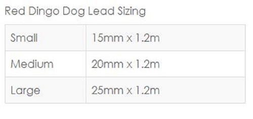 RED DINGO PURPLE DAISY CHAIN COLLAR & LEADS - Picture 4 of 6