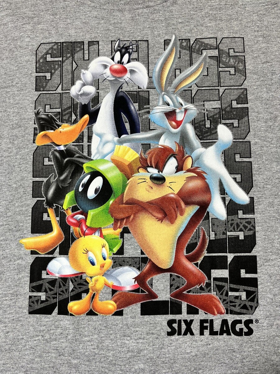 LG) SIX FLAGS Youth Gray Heather Shirt LOONEY TUNES Squad