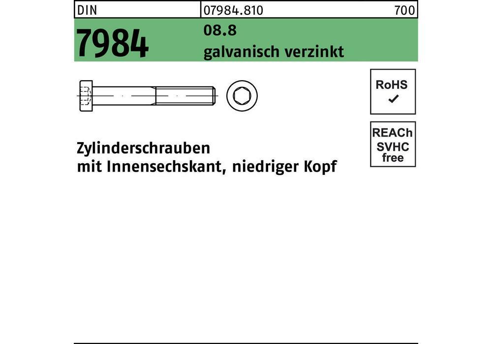 Reyher Zylinderschraube DIN 7984 м.Внутренний диаметр, М 12 x 30 8,8 оцинкованная сталь...