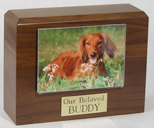 Small 55 Cubic Inches Walnut Pet Photo Urn for Ashes with Engravable Nameplate