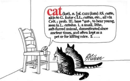 B. Kliban Cat (taschenbuch)