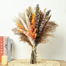 Dried Pampas Grass Bouquet, 17 Inch Reed Grass, Eucalyptus,Natural Floral Arr...