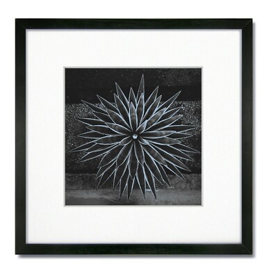 10x10 EcoLine Black Picture Frame with Single White Mat for 6x6