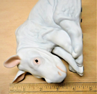 Picture 19 of 22