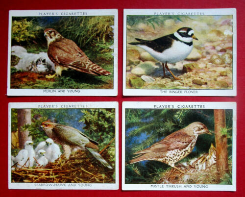 Checklist : Mountains & Moorland 1 Birds Of Britain Atlas Editions