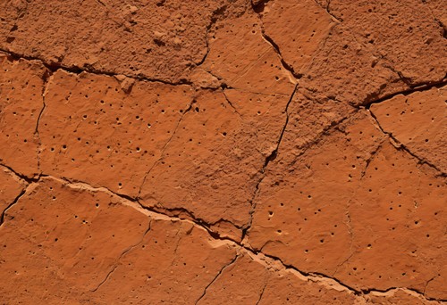 Terracotta Textured Plaster Abstract - Earth Tone Wall Art Print