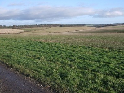 Foto A3 Blick vom Warren in Richtung Old Eagle, Marlborough Downs März c2013