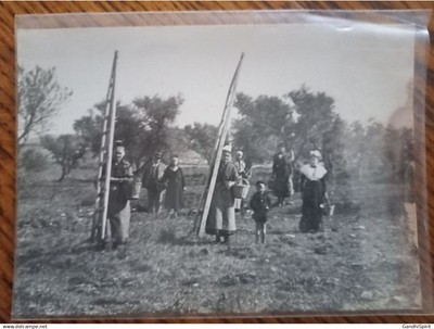 Arles (BdR) - Fotokarte E. Barral - Sammelszene - Frauen auf Leitern
