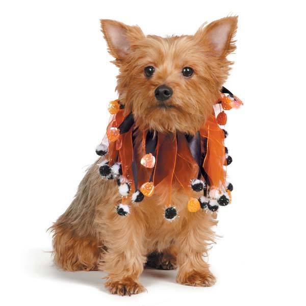 dog scrunchies