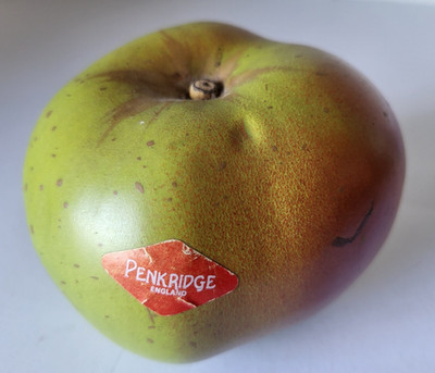 SPLENDID RETRO PENKRIDGE CERAMIC FRUIT LARGE BRAMLEY APPLE