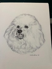 Bichon Frise Vintage Print By Jan Jellins 8 X10