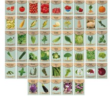 50 Packs Assorted Heirloom Vegetable Seeds 20+ Varieties All Seeds are Heirlo...