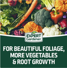 All Purpose Plant Fertilizer 16-16-16 20 lb Granular Lawn Garden Food NEW