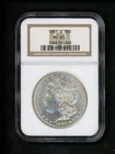 1881 S US Morgan Silver Dollar $1.00 $1 NGC MS 63 UNC Bright White Orig Surfaces