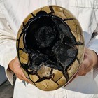 15.4LB Natural Turtle Back Stone Dragon Crystal Cave Crack Gem Healing — photo 5