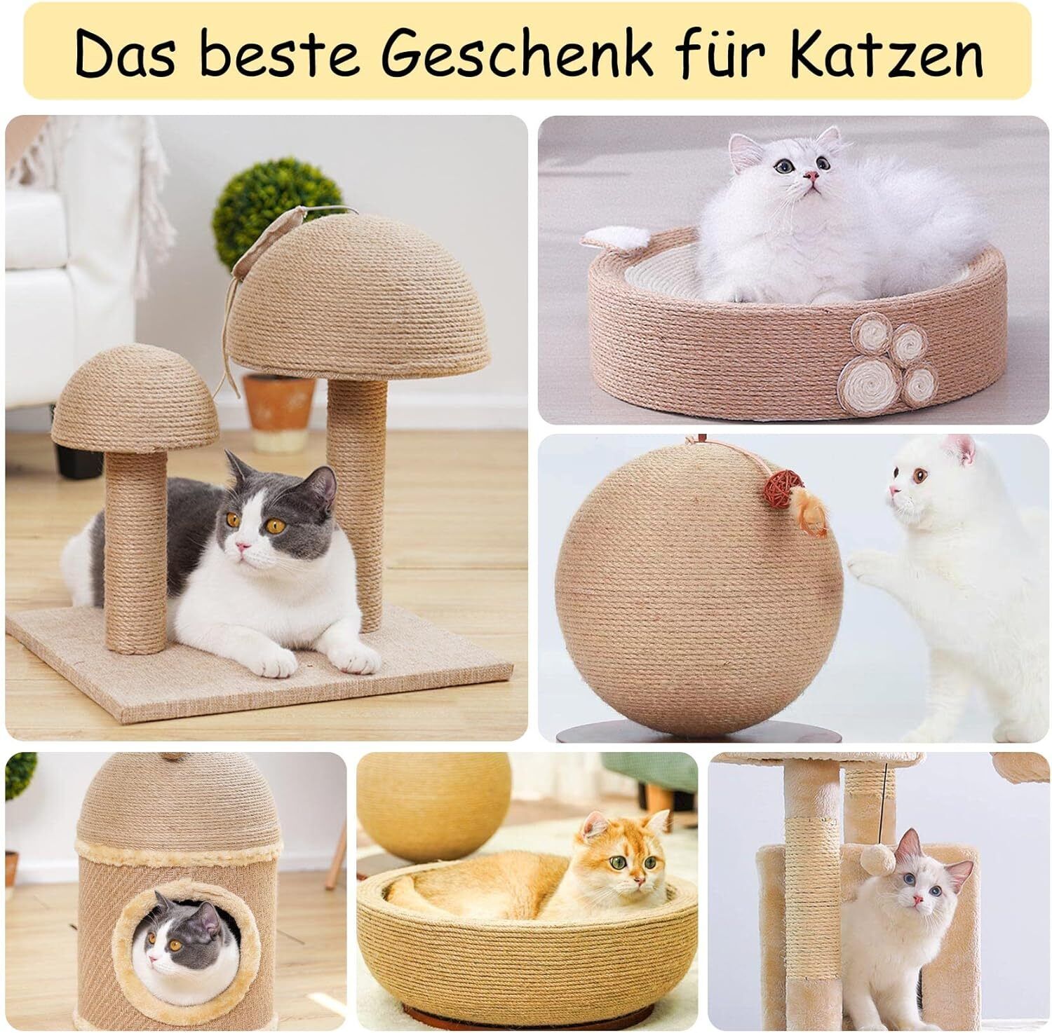 Bild 14 von 19