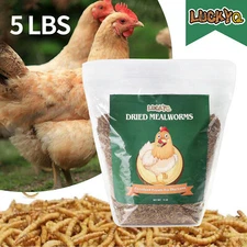 5 LBS Bulk Dried Mealworms for Wild Birds Food Chickens Hen Fish Treats Food USA
