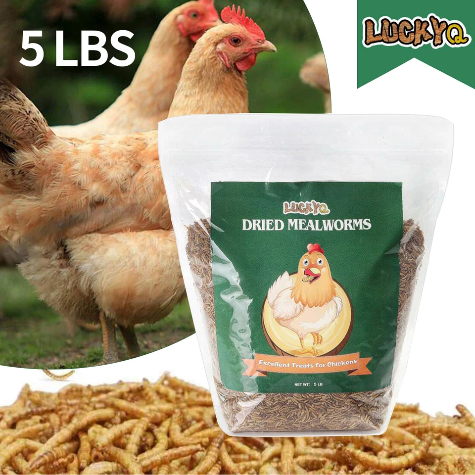 LUCKYQ 5 LBS Bulk Dried Mealworms for Wild Birds Food Chickens Hen Fish Treats Food USA