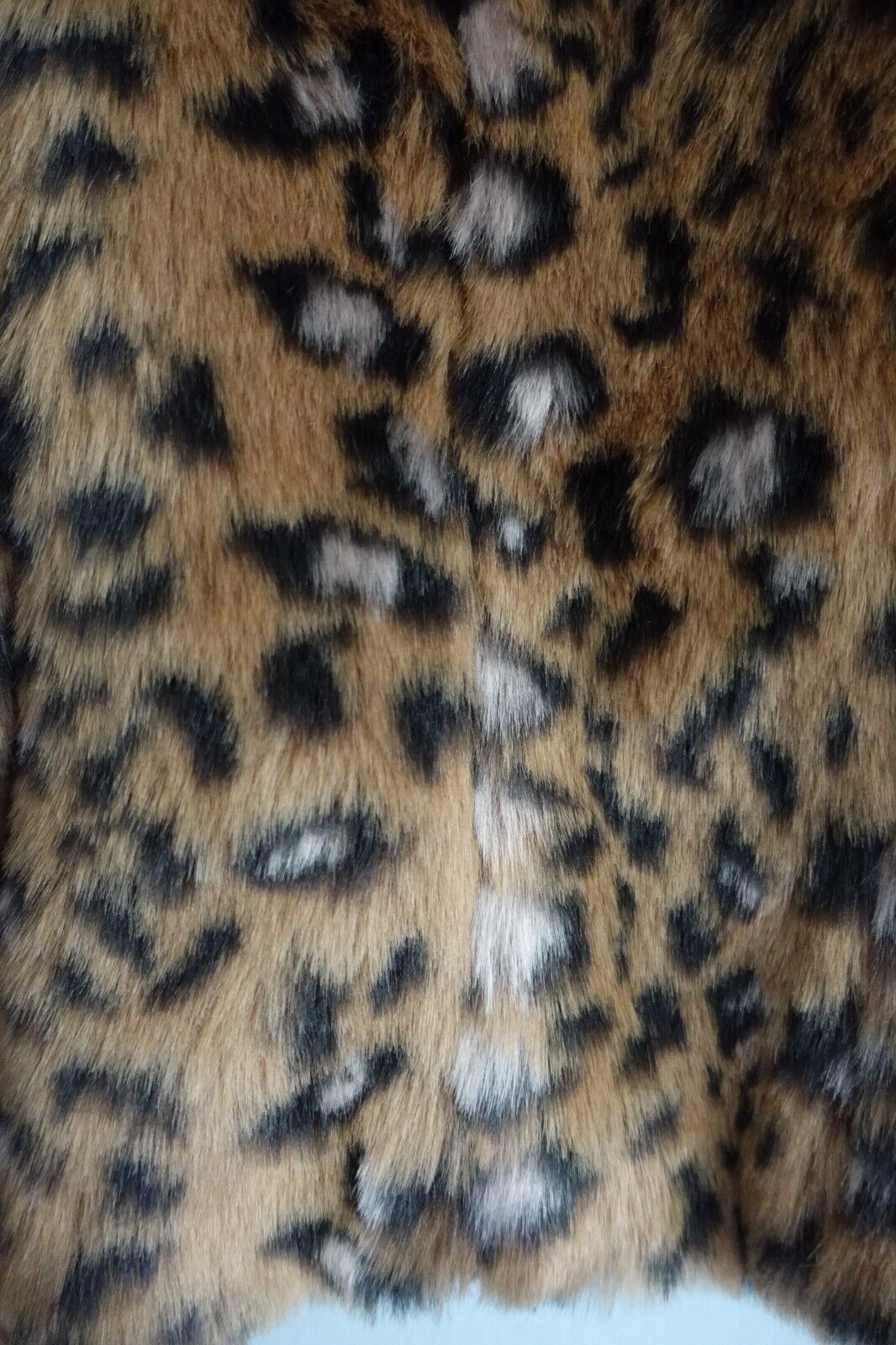 Picture 6 of 12