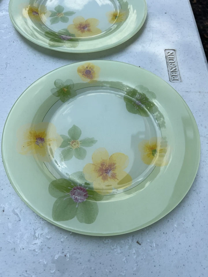 Набор весенних обеденных тарелок Luminarc Marc Paully цветочный зеленый сад 5 10 дюймов - Изображение 3 из 4