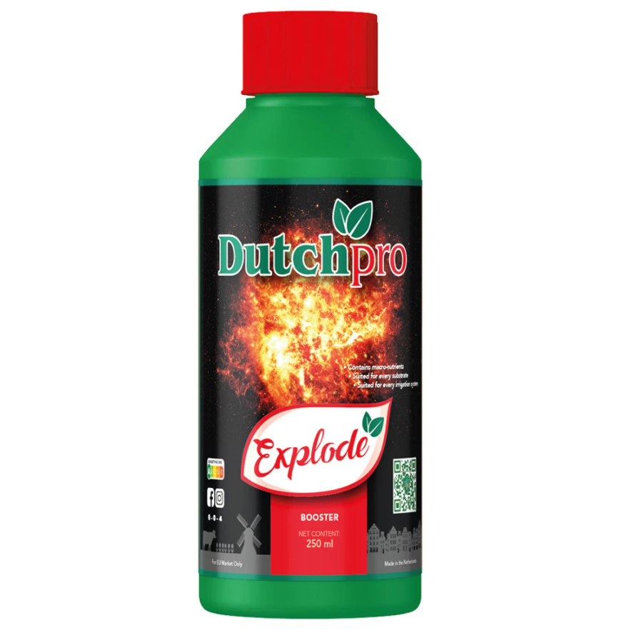 Dutch Pro Explode 250ml - Bloom Stimulant Booster Flowering Enhancer DutchPro