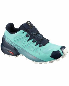 salomon gtx gore tex