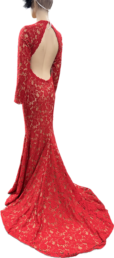 Jovani Red Stretch Lace Gown/Dress with Train Size 14 | eBay