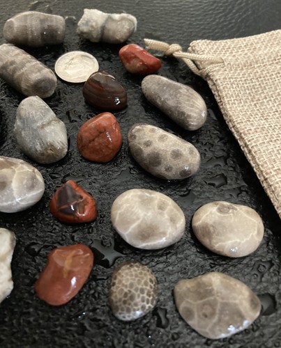 20 pezzi sacchetto regalo gemme del Michigan - diaspro, pietra petoskey, preferiti, corno di rugosa corallo - Foto 3 di 5