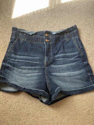 Kendall + Kylie The Icon Short Size 13/31 Denim
