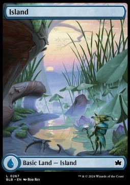 Magic/MTG Island (V.2) BLB-267 Land Englisch Excellent