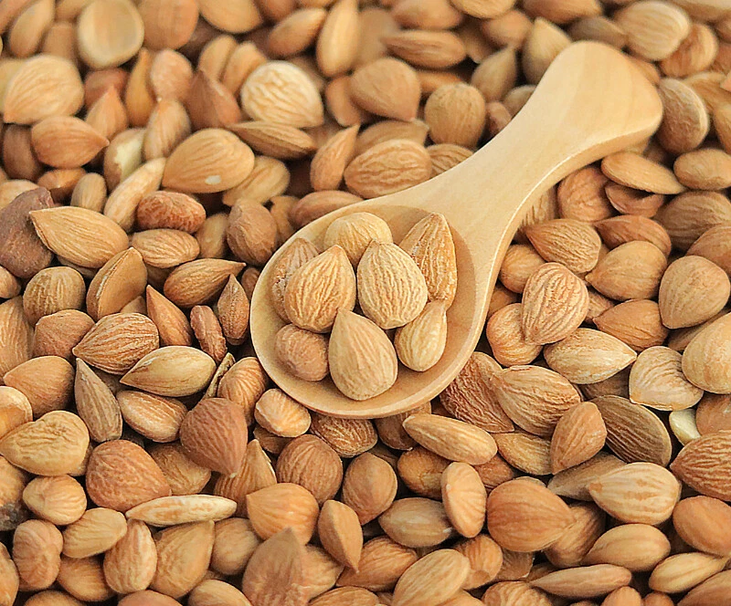 1 LB Bitter Apricot Kernels Organic Raw Bitter Apricot Seeds 苦杏仁 - image 3 of 4