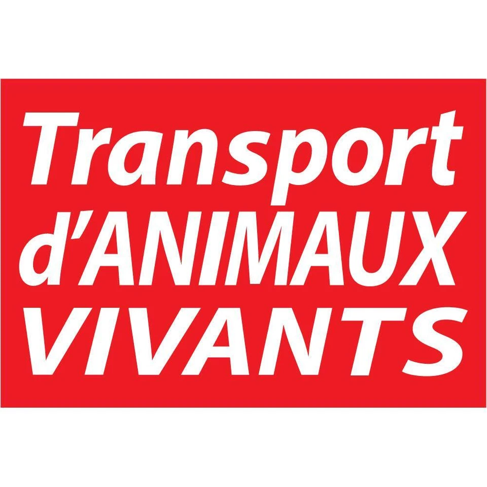 ZUNDAPP Transport d'animaux vivants voiture camion autocollant sticker logo28