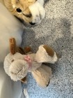 Madame Alexander Dog Stuffed Animal Plush Small Beige Brown Pink Bow — photo 2
