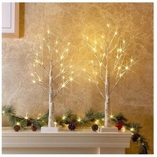 2FT Birch Tree LED Holiday Decorations Battery Powered with Timer 2 Pack