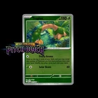 Pitch Black Pokémon Cards! Holo/Reverse Holo Ex Ultra Rare - Choose Your Card