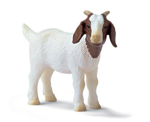 toy goats for sale