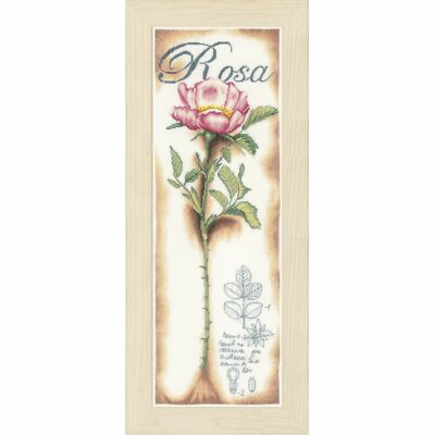   LANARTE 0154334  Pink Rose  Counted cross stitch kit  30 count  