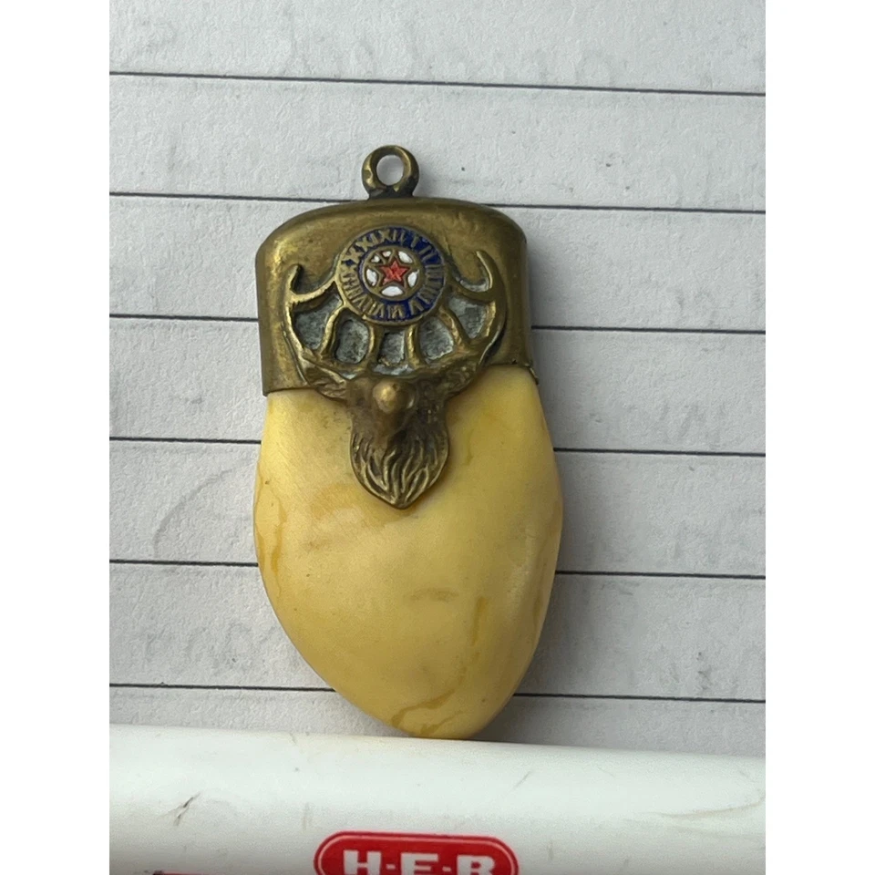 Antique 14k Gold Elks Club Lodge  B.P.O.E. Tooth Fob Pendant Elk Emblem Red Star - Image 3 of 4