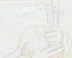 The Twelve Kingdoms Juuni Kokki Genga Douga Original Sketches Pierrot - Youko — photo 1