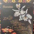 Mid Century Souvenir Metal Serving Tray Hawaiian islands — photo 4